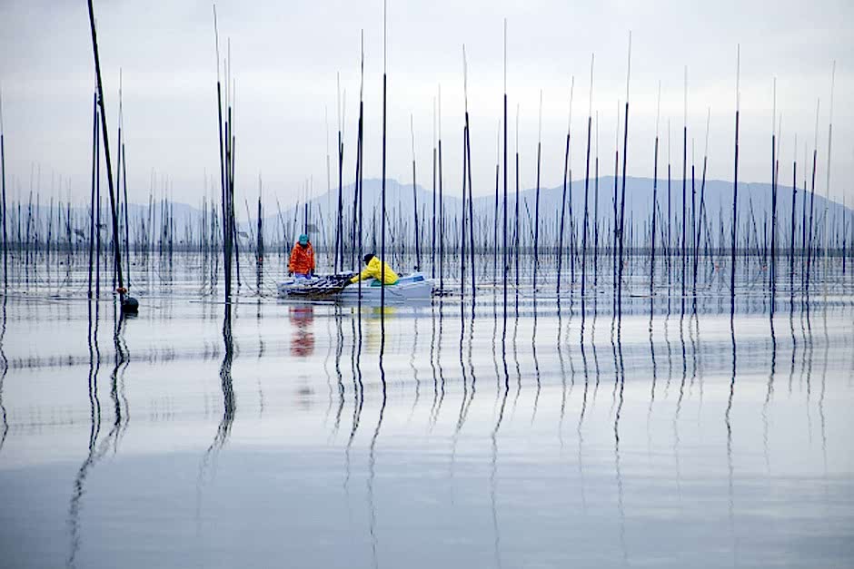 2 men in a dingy at a seaweed farm