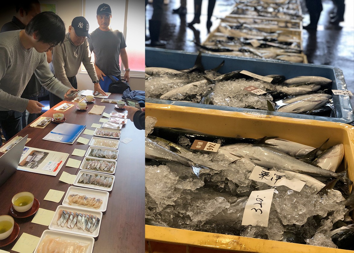 Images of people inspecting small trays of sashimi samples and bins of whole fish packed on ice